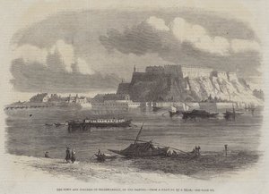La città e la fortezza di Peterwardein, sul Danubio